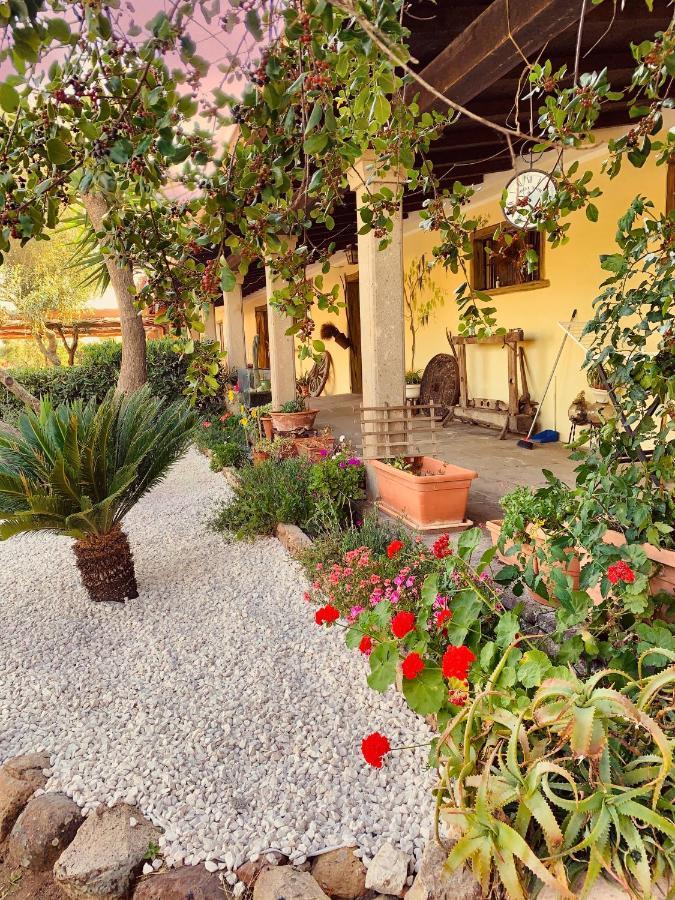 萨穆盖奥Agriturismo Da Lino Agripizza别墅 外观 照片
