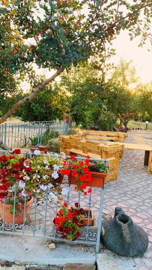 萨穆盖奥Agriturismo Da Lino Agripizza别墅 外观 照片