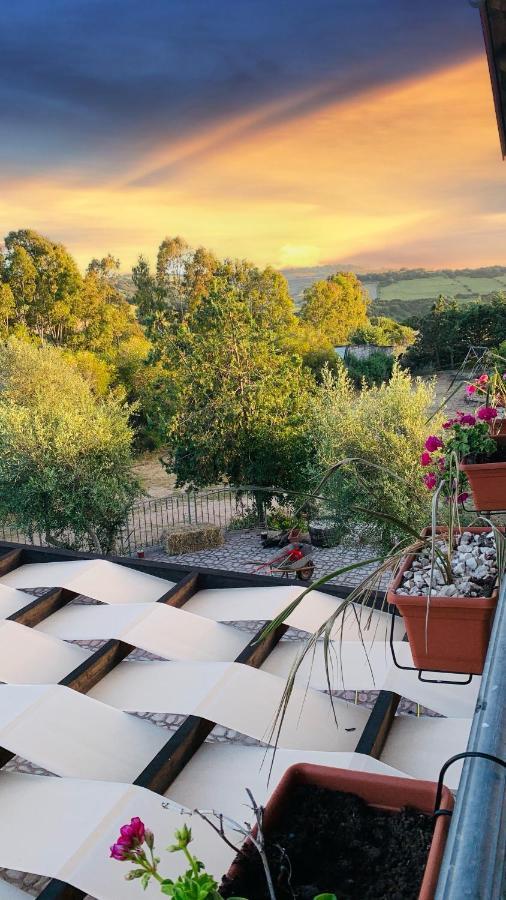 萨穆盖奥Agriturismo Da Lino Agripizza别墅 外观 照片
